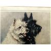 Image 2 : Photolithograph: Scottish Terriers