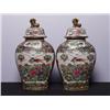 Image 2 : A Pair of Chinese Porcelain Urns