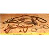 Image 1 : SET OF LEATHER HORSE HALTERS