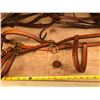 Image 2 : SET OF LEATHER HORSE HALTERS