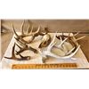 Image 1 : LOT OF 3 + ANTLER SETS