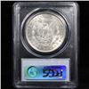 Image 3 : 5 Unc Morgan $1 Graded By PCGS Mixed Dates From The McClaren Collection
