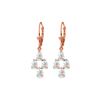 Image 1 : Genuine 3.9 ctw Aquamarine Earrings 14KT Rose Gold - REF-51H8X