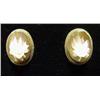 Image 1 : 14k gold carved shell cameo earrings with fl