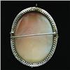 Image 2 : 14k gold carved shell cameo pin in filigree 