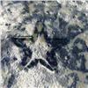 Image 4 : Spongeware mixing bowl with large mottle dec