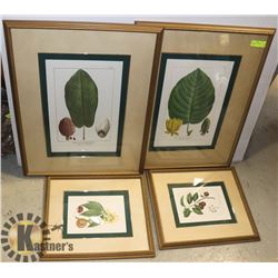 4 FRAMED PRINTS  BOMBAY COMPANY