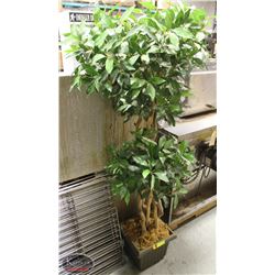 68" ARTIFICIAL TREE W/ POT- ON CHOICE
