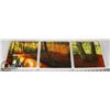 Image 1 : LOT OF 3 CONTINUOUS PICTURES 8 X 8