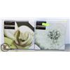 Image 1 : TWO NEW STRETCHED CANVAS CLOSE UP FLOWER