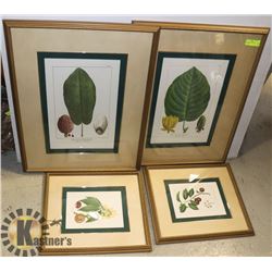 4 FRAMED PRINTS  BOMBAY COMPANY