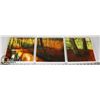 Image 1 : LOT OF 3 CONTINUOUS PICTURES 8 X 8