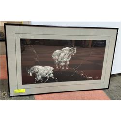 BLACK/WHITE ETCHINGS BY A.E.TYLER "MULE DEER"