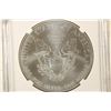 Image 2 : 2012 AMERICAN SILVER EAGLE NGC MS70 1ST RELEASES