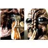 Image 2 : 33cm Brand Le Fly The Fly / Fear Man's Fear Mask