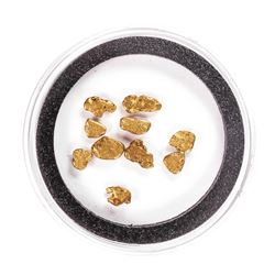 Lot of Gold Nuggets 3.24 grams Total Weight