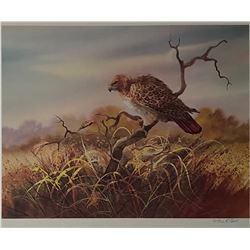 5 collectible prints of Robert Carver