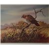 Image 1 : 5 collectible prints of Robert Carver