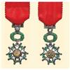 Image 1 : Medal - Medailles - FRANCE - LEGION OF HONOUR MINIATURES
