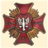 Image 1 : Medal - ADDENDUM - Veterans Association of the Wielkopolski Armies - I.Type