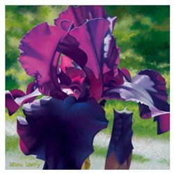 Brian Davis, "Passionate Purple Iris" Limited Edition Giclee on Canvas, Numbered and Hand Signed wit