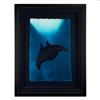 Image 1 : Wyland, "Manta Ray" Hand Signed Original Painting with Certificate of Authenticity.