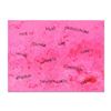 Image 1 : Tom Pergola, "Words" Original Acrylic Painting on Gallery Wrapped Canvas, Hand Signed with Letter of