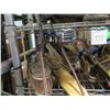 Image 17 : Shelving Unit and Contents: Ratchet Straps, Caution Tape, etc
