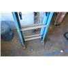 Image 2 : Blue 16-Foot Extension Ladder