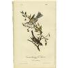 Image 2 : Lot of 6 First Edition Audubon Prints 