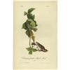 Image 2 : Lot of 3 First Edition Audubon Prints 