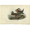 Image 2 : Lot of 4 First Edition Audubon Prints 