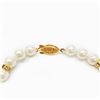 Image 2 : White Akoya Shell Pearl Necklace 49 Pearls In Total