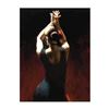 Image 1 : Flamenco Dancer In Black by Perez, Fabian