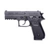 Image 1 : FIME AREX REX ZERO 1S 9MM 17RD BLK
