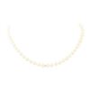 Image 1 : Akoya Pearl Necklace - 14KT Yellow Gold