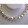 Image 1 : 2473 Shell Pearl Necklace with Yellow Gold Clasp