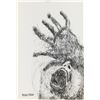Image 1 : Polish Modernist Ink on Paper Signed Bekinski