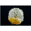 Image 1 : Burma White and Russet Jadeite Carved Fish Pendant
