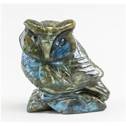 Certified 2183 Ct Hand Carved Labradorite Owl