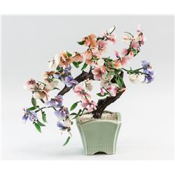Chinese Jade Tree Pot with Tree