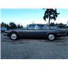 Image 9 : 0D --  1988 JAGUAR VANDEN PLAS v12 , Grey , 174187  KM's