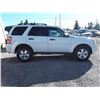 Image 4 : G6 --  2011 FORD ESCAPE XLT , White , 126622  KM's