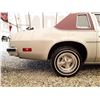 Image 23 : 0M --  1980 PONTIAC SUNBIRD  , Grey , 75911 TMU  5 DIG ODO  KM's
