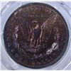 Image 3 : 1883-S MORGAN DOLLAR  PCGS GENUINE