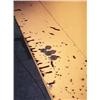 Image 1 : Paul Graham Monographs