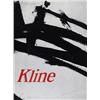 Image 1 : Franz Kline Monographs