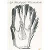 Image 1 : Kunst Industri Collection