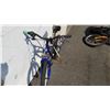 Image 2 : BLUE LOUIS GARNEAU BIKE
