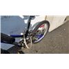 Image 3 : BLUE LOUIS GARNEAU BIKE